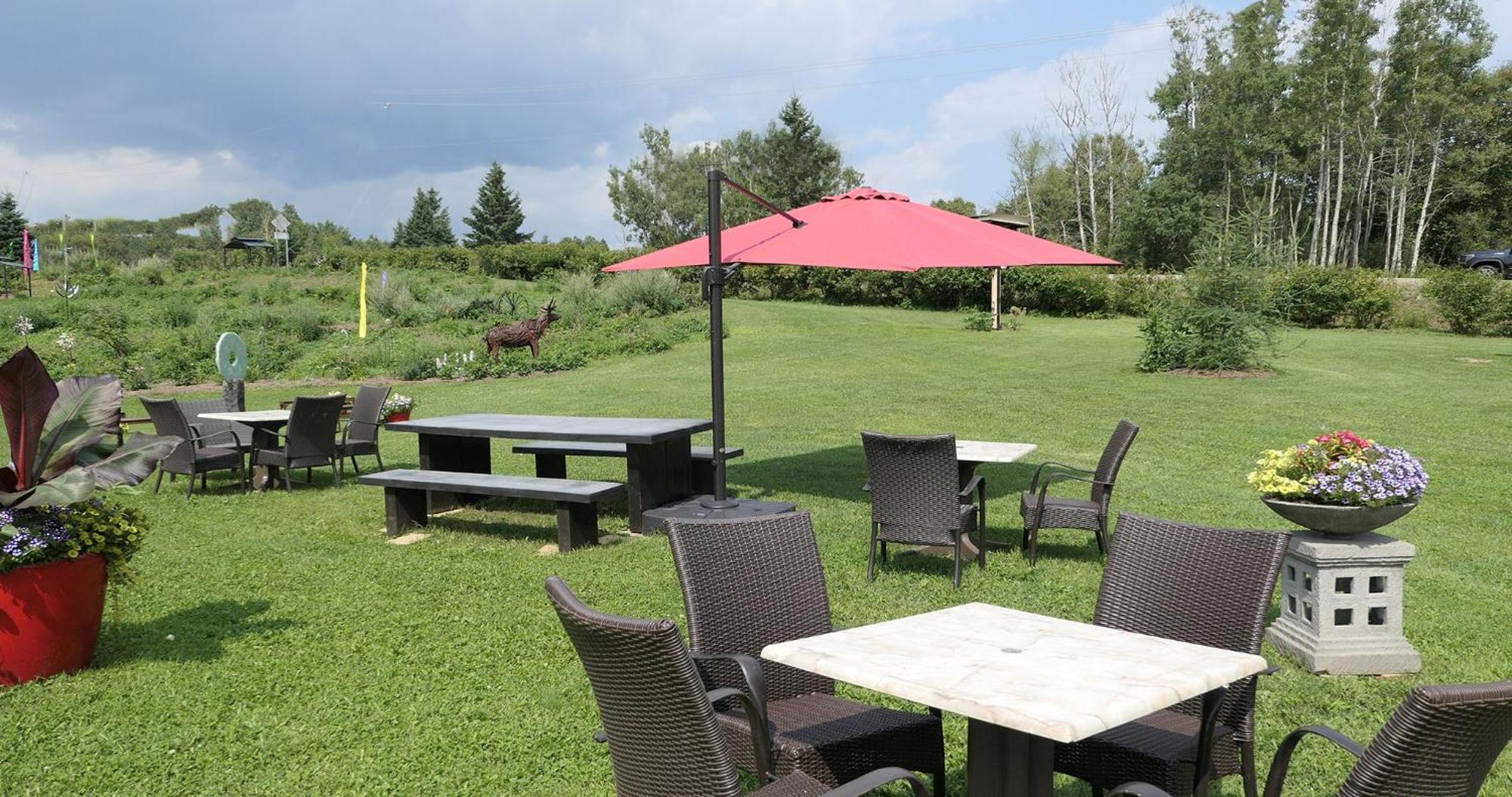 Auberge La Daina Baie-Saint-Paul Zewnętrze zdjęcie